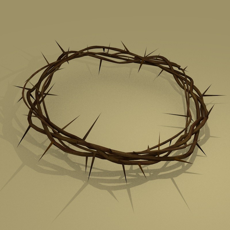 Crown of thorns preview image 1